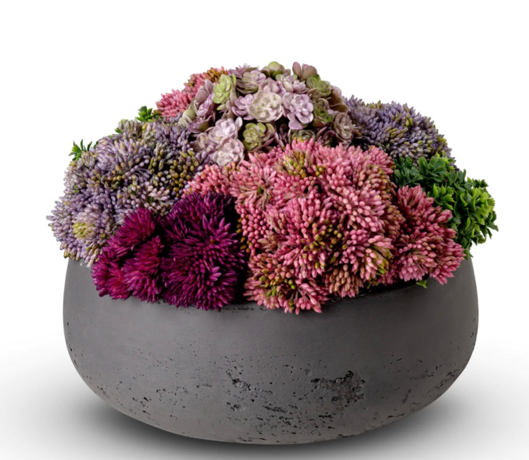 Georgina Sedum Arrangement