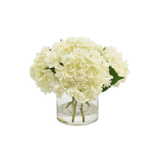 Diego Hydrangea Arrangement